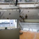 이마트24창현신명점 | 창현신명아파트 LX 하우시스창호 샷시교체, 경기도 남양주시 화도읍 주택 샷시 샤시 창호시공후기