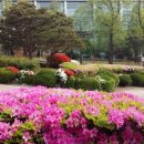 수원대학교 이미지