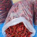 빨간고추 이미지