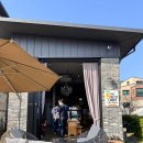 서해바다 | 궁평항 애견카페 더 프리티캐롯 - 강아지랑 함께한 서해 바다뷰 카페 후기