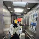 [출산 후기] 유도 분만 후 결국 제왕 엔딩../메디아이여성병원