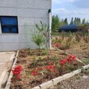 죠이월드 이미지