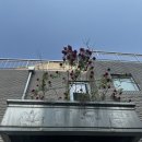 대우장여관 이미지