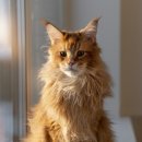 강한우리동물병원 이미지