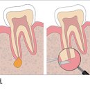 더드림치과의원 이미지
