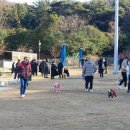 펫빌리지 경남일보