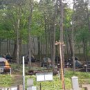 뿌리공원 이미지