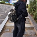 웅상출장소 | 부산대 캠퍼스에서 담아온 멜로씨어리 가방 촬영 이야기