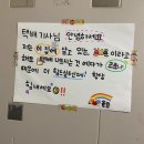 안좌면자라도보건진료소 | 1월 초 나의 생각들