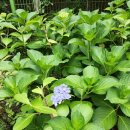 열우물한의원 이미지