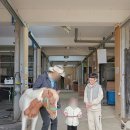 (주)궁평캠프 | 경기도 갈만한곳 궁평캠프 승마장 주말 어린이 승마체험