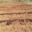 비오농장 이미지