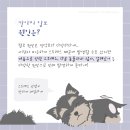 더블유동물의료센터 네이버블로그