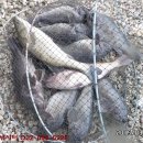 k3바다낚시터 이미지