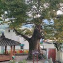 설화사슴목장 이미지