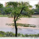 늘봄웰봄 이미지