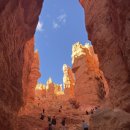 펜션밴드 이미지