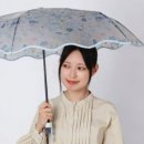 미니스토아 - 원주시 | 미니스토아