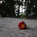 동백섬민박 이미지