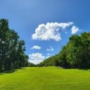 푸른잔디 이미지