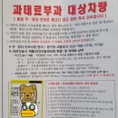 조례큰약국 | 불법 주차 위반 단속 딱지 감액 받고 [과태료 자진 납부하는 방법]