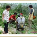 숲마을농원 이미지