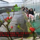 새미 낚시터 이미지