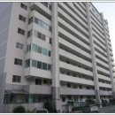 서성파라토피아 이미지