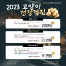 [리뷰/후기] 고양이 건강검진 | 비용, 금식, 스케일링, 발치 | 루시드 동물 메디컬센터 동대문점