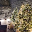 코지빌리지 이미지