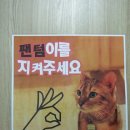 고양이다락방 이미지