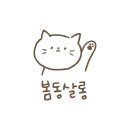 봄동살롱 이미지