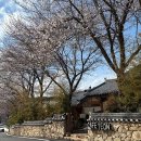 카페연 - 고흥군 천마로 156 | 카페연