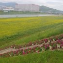 양산천변 금융경제플러스