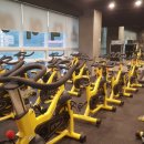 DS휘트니스센터 대전도안점 이미지