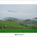 뿌리목장 이미지