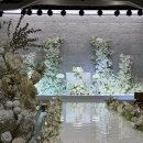 천사카롱 | 보테가마지오 본식 후기 11월 신부의 성공적인 결혼식 💍🤍