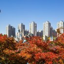 신세대통상 이미지