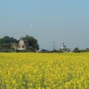 매향리 평화생태공원 이미지