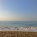 서귀포흑돈 이미지