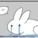 피플러스 네이버블로그