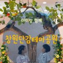 부모님과 가을에가볼만한곳 킥보드가능 놀다감체험프로그램 주남저수지 핑크뮬리 코스모스 산책코스추천