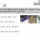 플로아트 이미지
