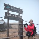 운남동 1766-3 주변 녹지 | 2025.07.13. 백두산 천지로의 여정 - 악마엔젤님 공지 (안개속에서 신선의 마음을 엿보다.) 안개 천지...