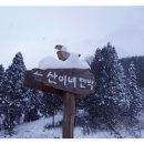 산이네 민박 이미지