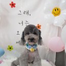 늘, 이쁘개 이미지