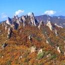 설악산파크식당 이미지