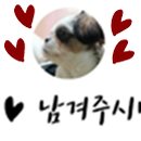 통앤통숯불갈비진평점 네이버블로그