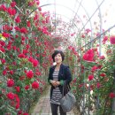 송학동 주민센터 이미지