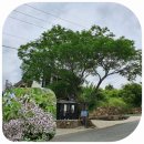 멀구슬민박 | 지리산 둘레길15~16코스 숙소